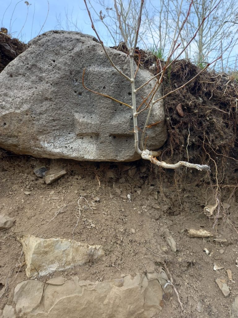 Ters haç işareti - Dini temalı define işaretleri